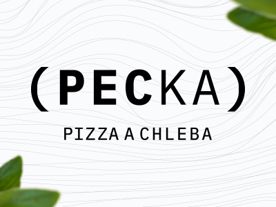 Pecka pizza a chleba Ostrava mobilní